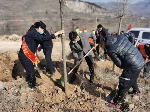 植树添新绿，不负好春光！山东ag真人国际官网集团开展义务植树活动